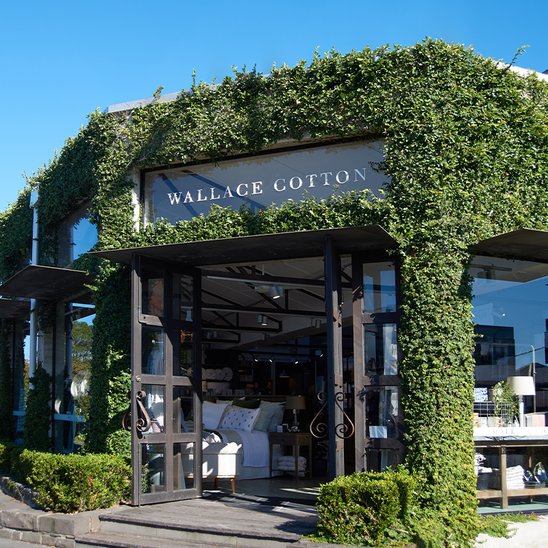 Auckland Lifestyle Guide