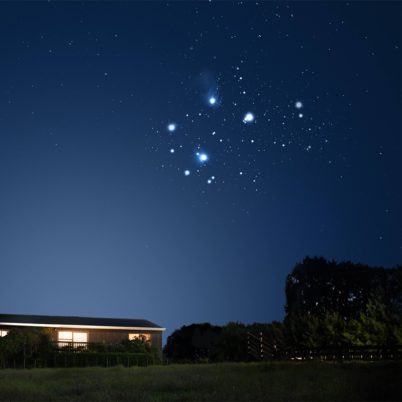 Recipes for Matariki