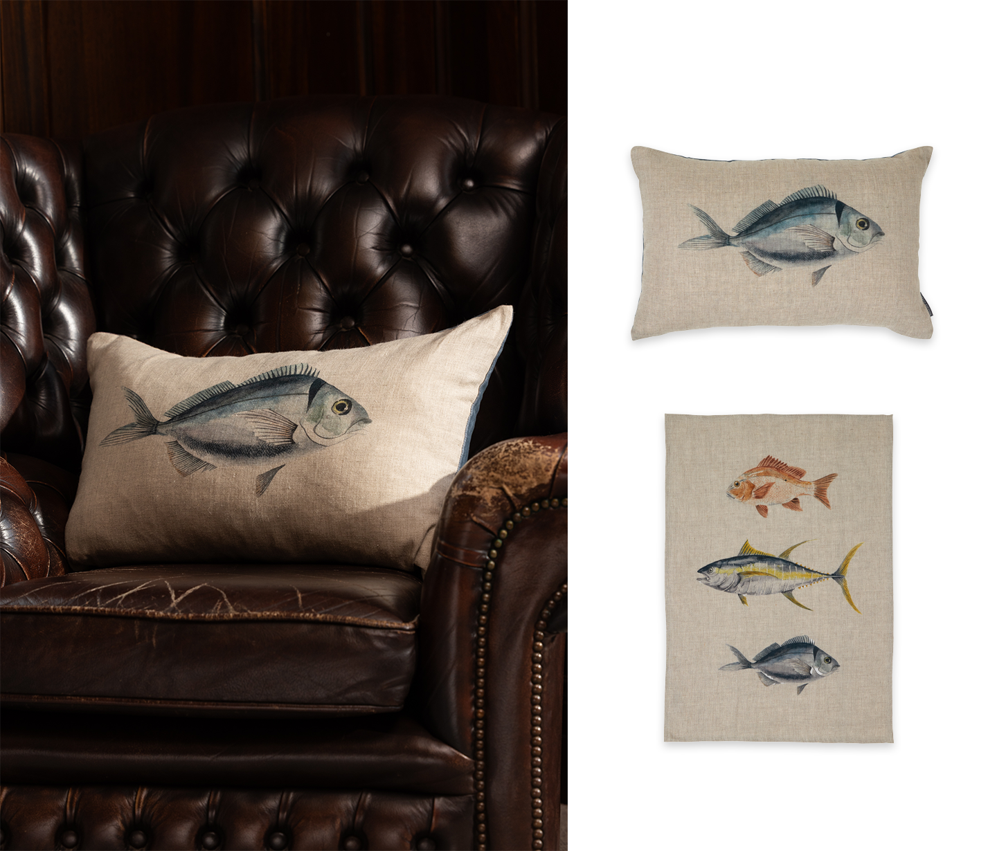 For the fishing fans