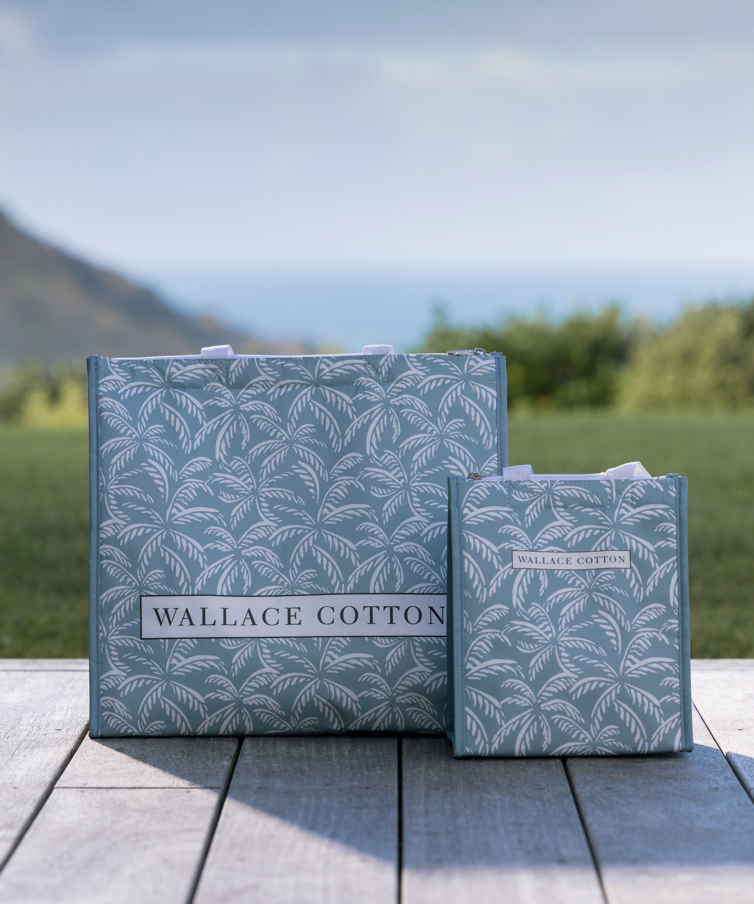 Alfresco Lunch Bag | Blue-2