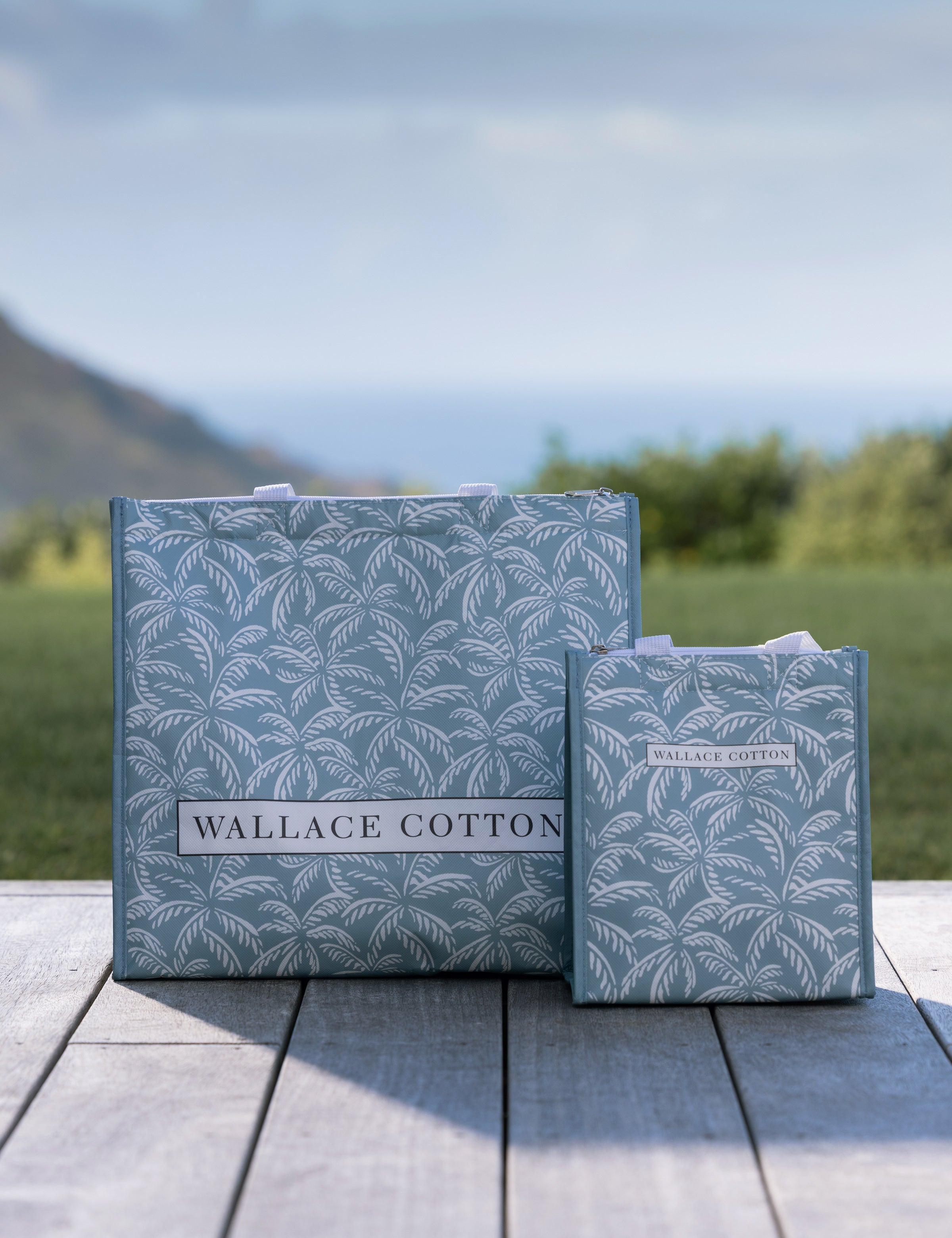 Alfresco Lunch Bag | Blue-2