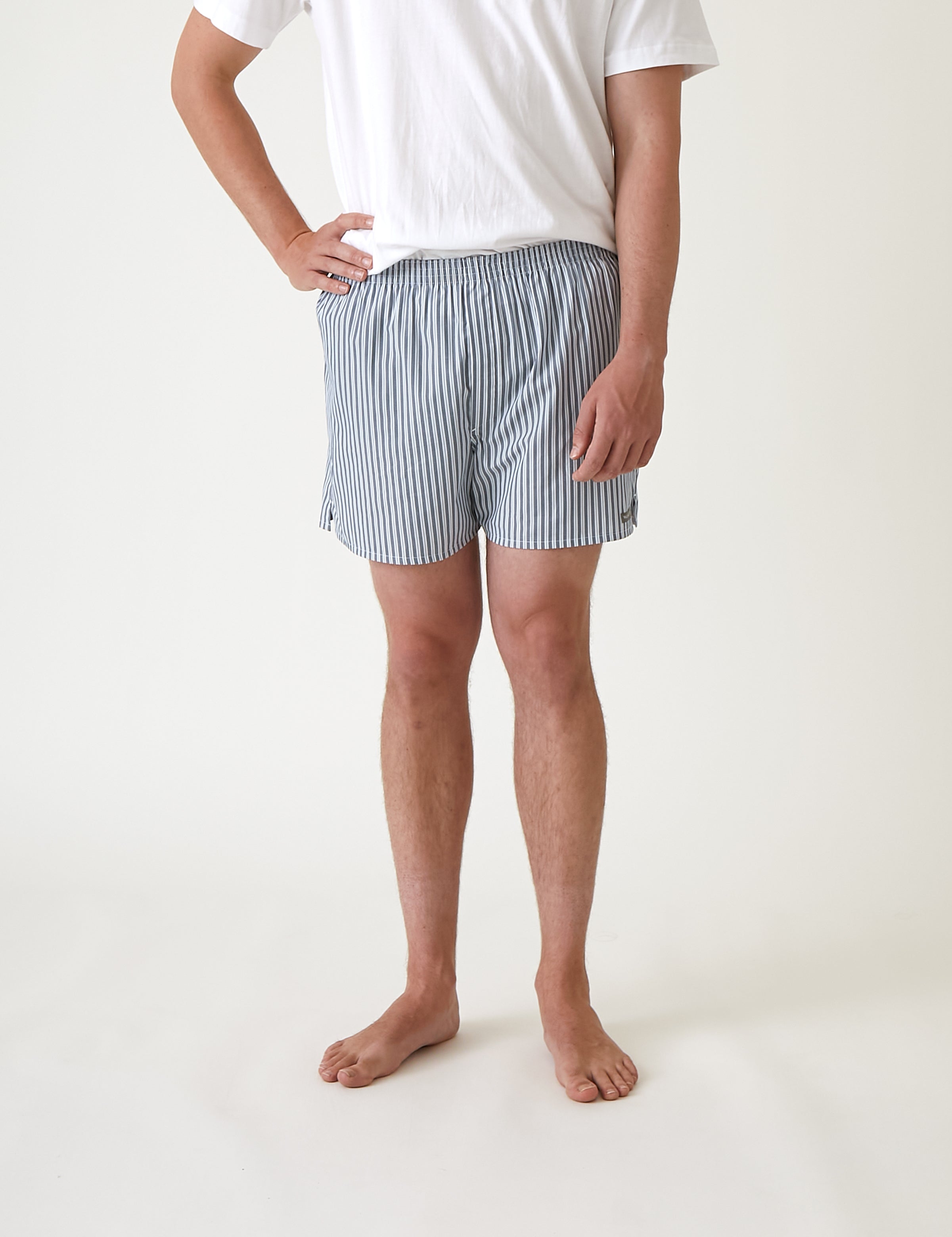 Ashton Men's Boxer Shorts | Blue Stripe-1