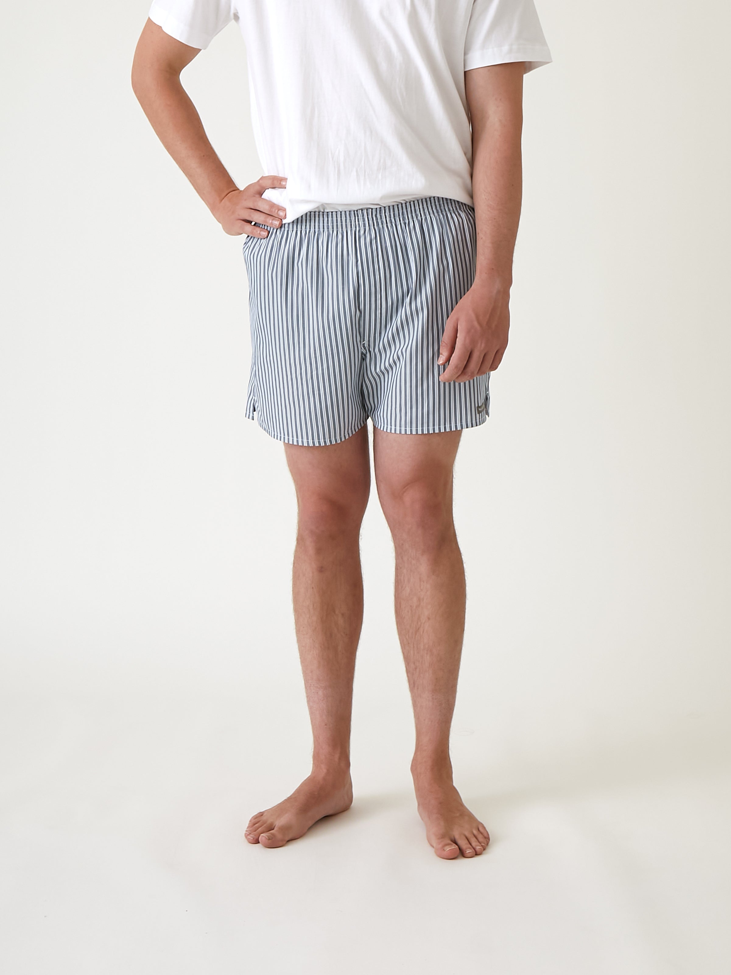 Ashton Men's Boxer Shorts | Blue Stripe-1