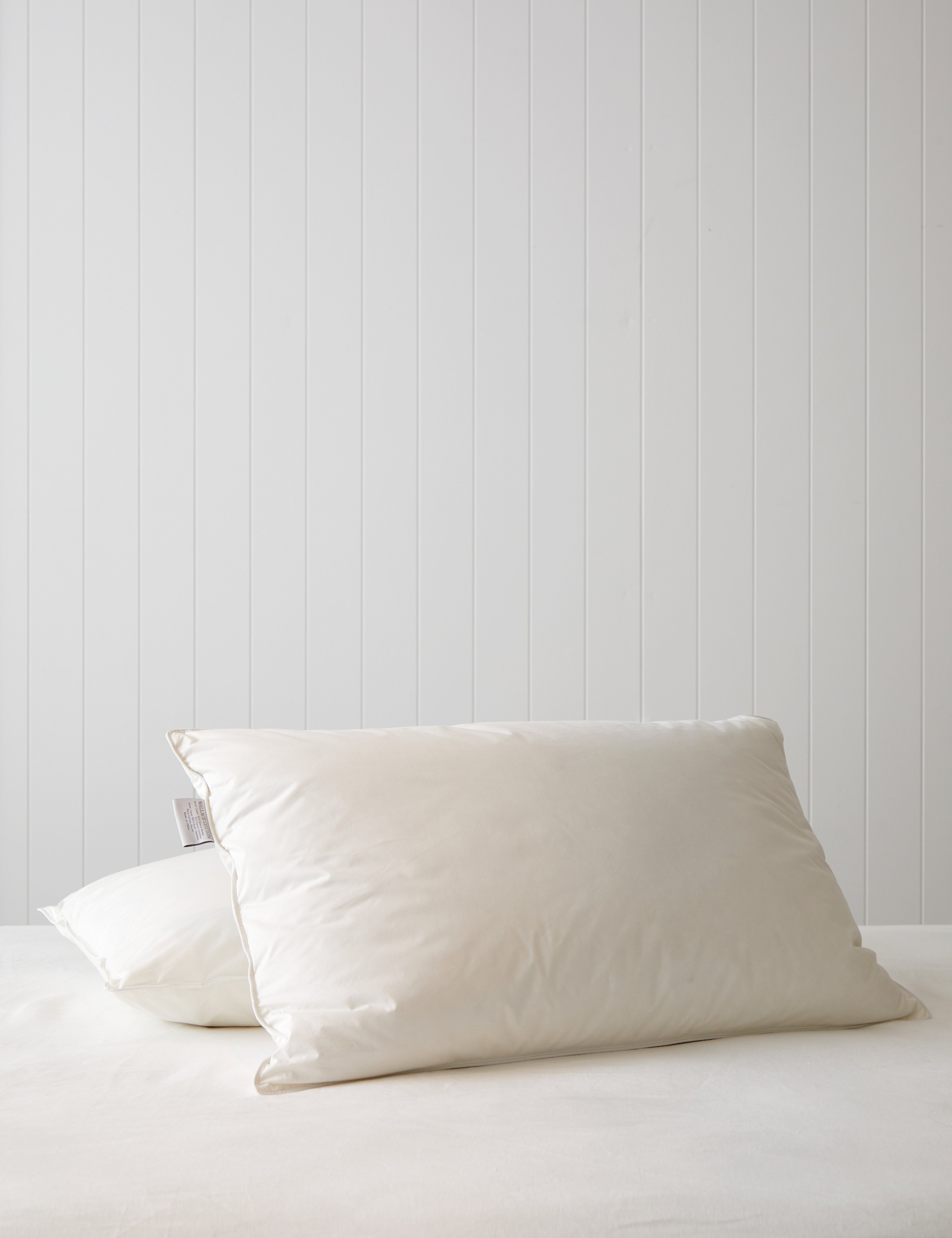 Downtime Core Standard Feather Pillow Inner | White-1
