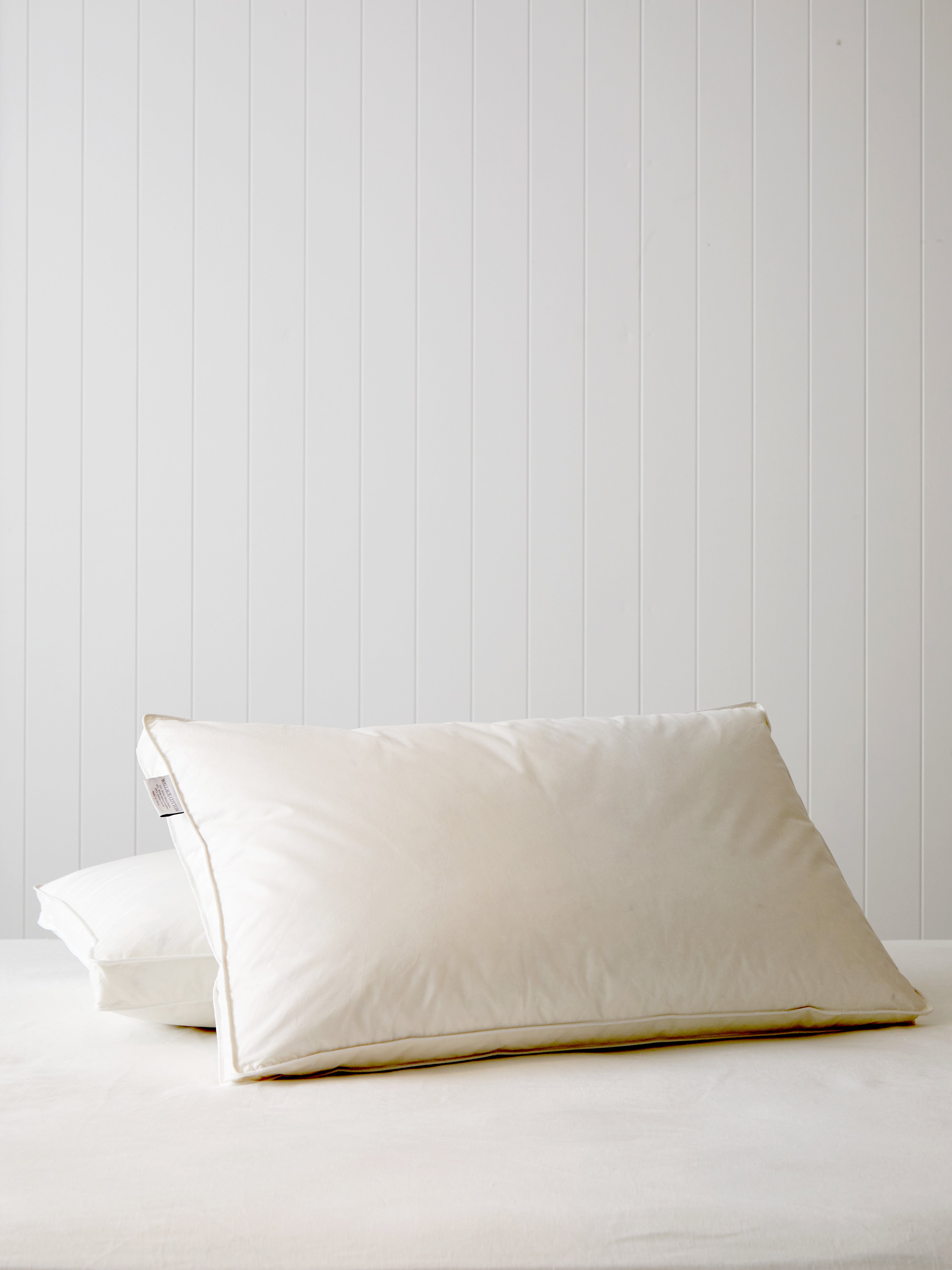 Downtime Luxury Goose Standard Pillow Inner | White-1