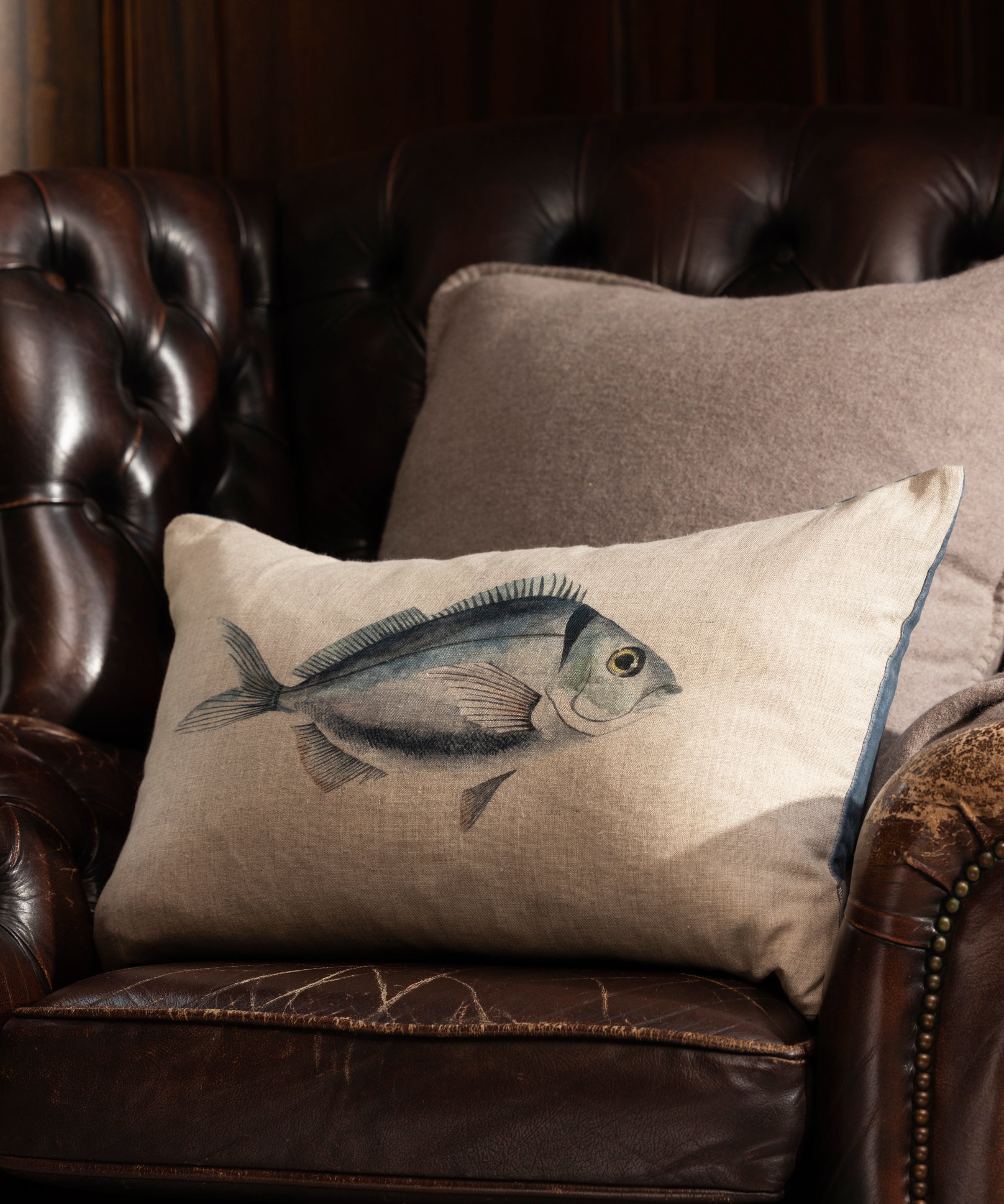 Ocean Fish Rectangle Cushion Cover | Blue-2