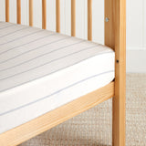 Pinnacle Flannel Cot Fitted Sheet | Blue Stripe-1
