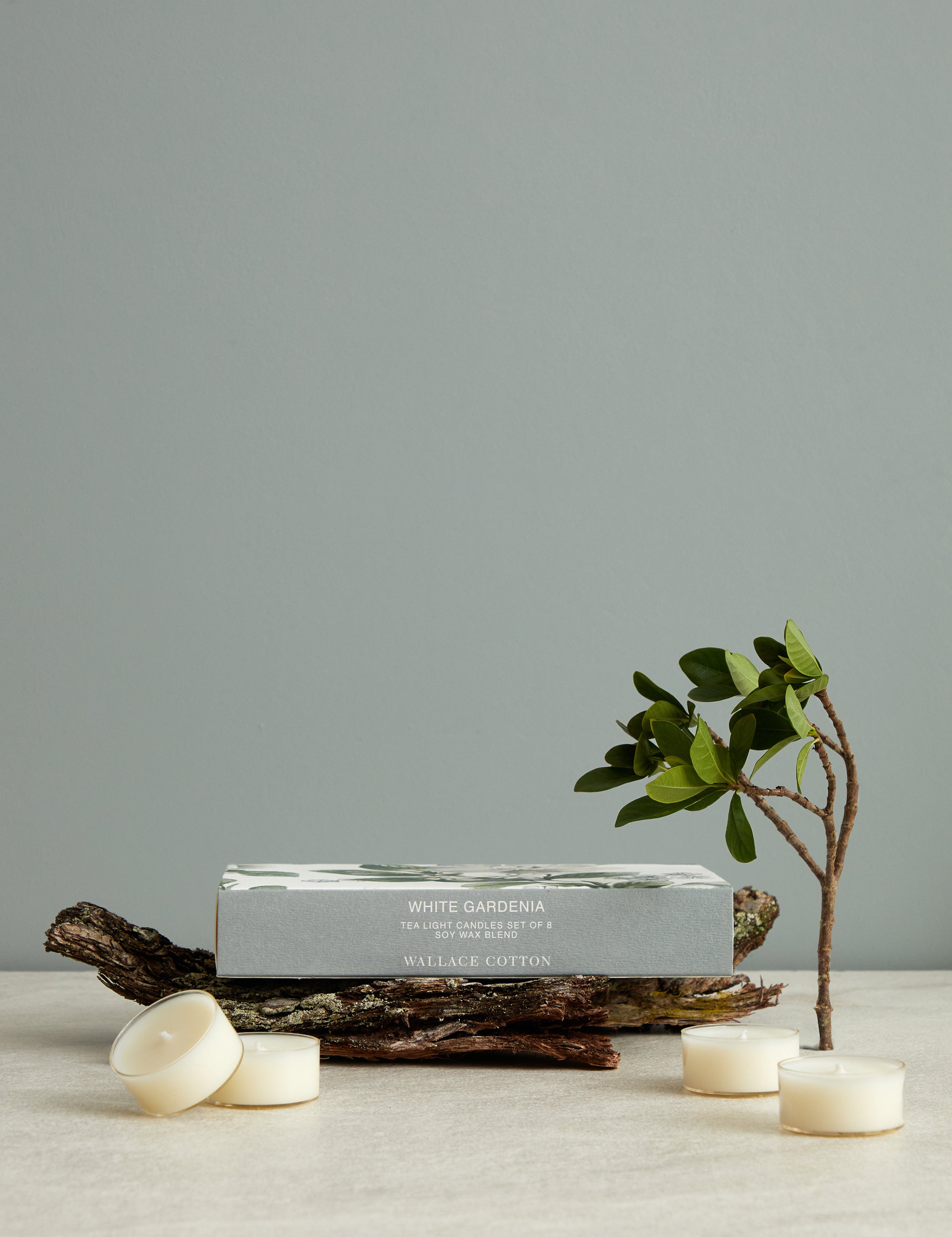 White Gardenia Tea Lights Set of 8 | White-1